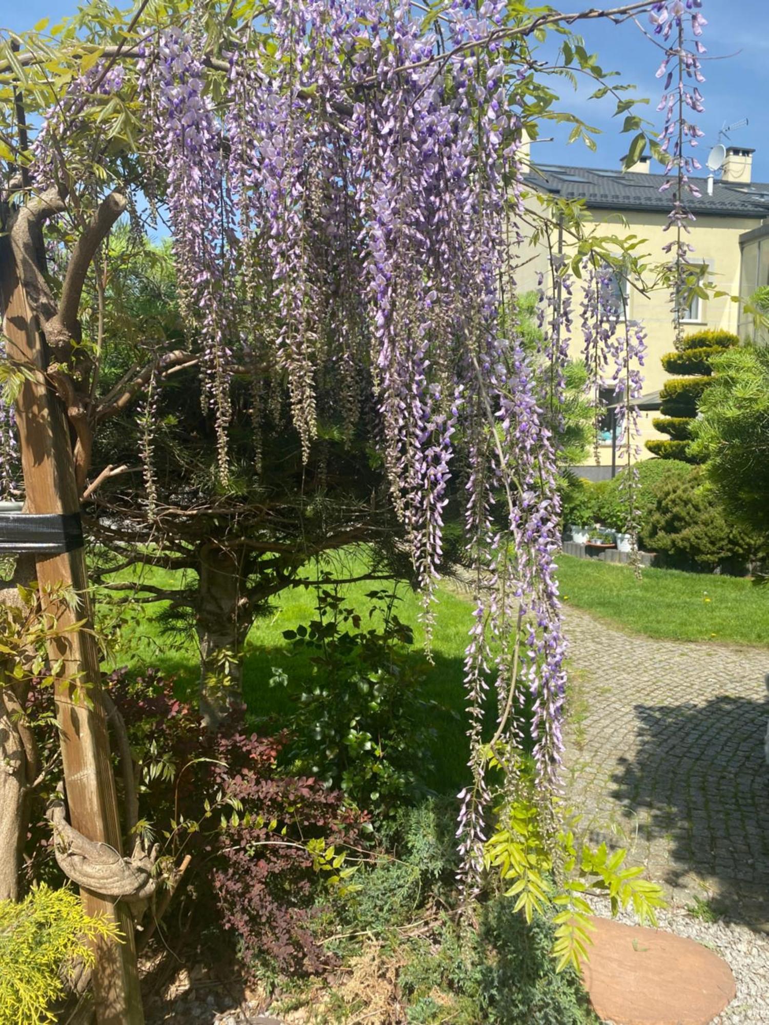 Apartamenty I Pokoje „Pod Jedynka” Konstantynów Łódzki Exterior foto